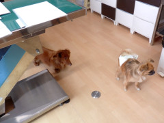 DSCF1332.JPG