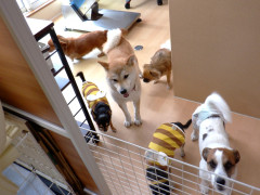 DSCF1353.JPG