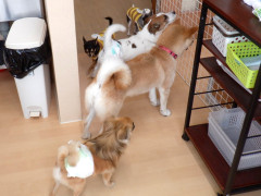 DSCF1350.JPG