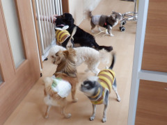 DSCF1380.JPG