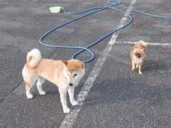 DSCF1366.JPG