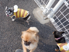 DSCF1364.JPG
