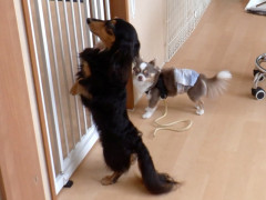 DSCF1386.JPG