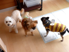 DSCF1391.JPG