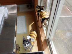 DSCF1395.JPG