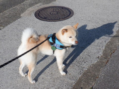 DSCF1399.JPG