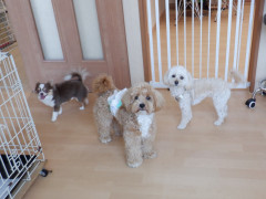 DSCF1447.JPG