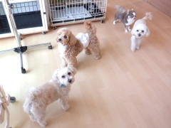 DSCF1449.JPG