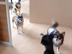 DSCF1456.JPG