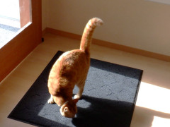 DSCF1495.JPG