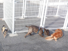 DSCF1476.JPG