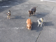 DSCF1479.JPG