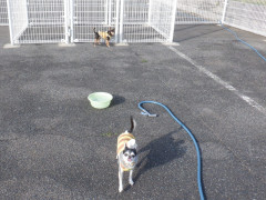 DSCF1483.JPG