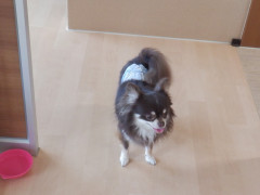 DSCF1522.JPG
