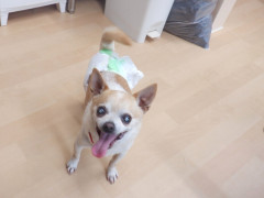 DSCF1527.JPG
