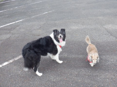 DSCF1537.JPG