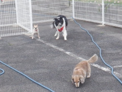 DSCF1544.JPG