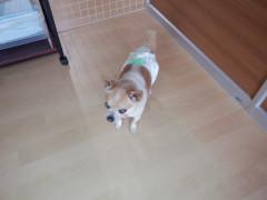 DSCF1549.JPG
