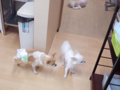 DSCF1577.JPG