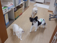 DSCF1569.JPG