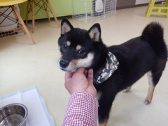 DSCF1568.JPG