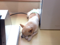DSCF1573.JPG