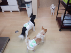 DSCF1579.JPG