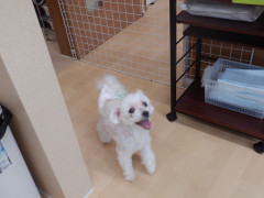 DSCF1560.JPG