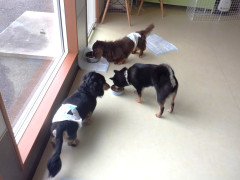 DSCF1608.JPG