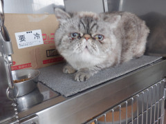 DSCF1597.JPG