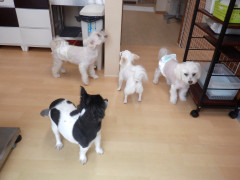 DSCF1591.JPG