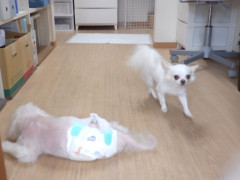 DSCF1617.JPG