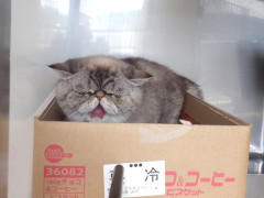 DSCF1630.JPG