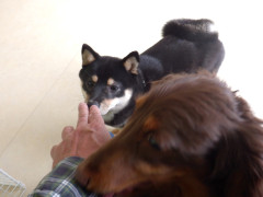 DSCF1636.JPG