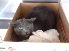 DSCF1645.JPG