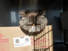 DSCF1648.JPG