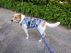 DSCF1660.JPG