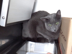 DSCF1672.JPG