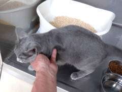DSCF1668.JPG