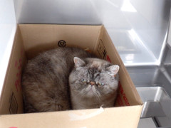 DSCF1662.JPG