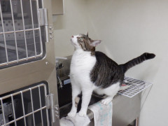 DSCF1689.JPG