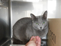 DSCF1679.JPG