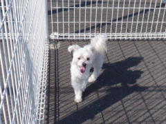DSCF1727.JPG