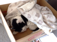 DSCF1718.JPG