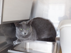 DSCF1716.JPG