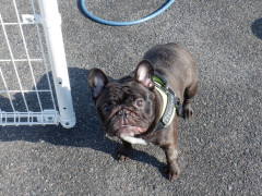 DSCF1709.JPG