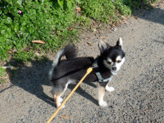 DSCF1706.JPG