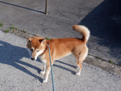 DSCF1697.JPG