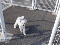 DSCF1760.JPG