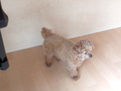 DSCF1764.JPG